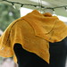 Melinda Kohler Photo 8