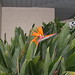 Lorraine Bush Photo 14