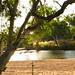 Mary Pool Photo 9