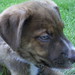 Michelle Platts Photo 14