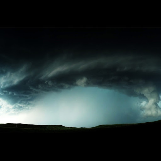 Michael Verrill Photo 2