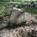 Susan Weidner Photo 18