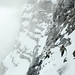 David Herrmann Photo 21