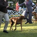 Carol Snodgrass Photo 11