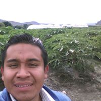 Patricio Rodriguez Photo 13