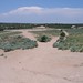 Frank Ortiz Photo 38