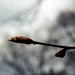 April Rains Photo 18