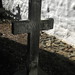 Joseph Lynch Photo 61