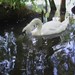 Martin Schwan Photo 15