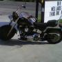 Curt Miles Photo 15