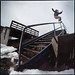 Steve Lerner Photo 26