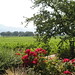 Barbara Lowry Photo 5