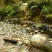 Douglas Creek Photo 5