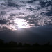 Vernon Miller Photo 7