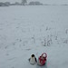 Bert Snow Photo 16
