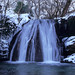 Janet Snow Photo 9