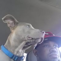 Terrence Howell Photo 5