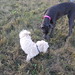 Darwin Friend Photo 5