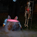 Susan Tripp Photo 20