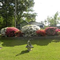 Sarah Yancey Photo 35