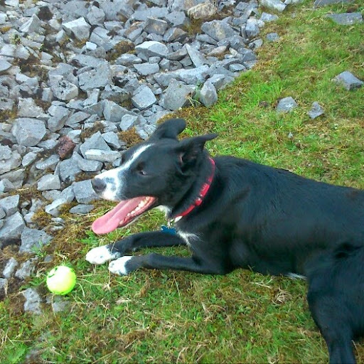 Lorraine Hughes Photo 7