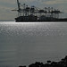 Robert Crane Photo 16