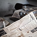 Mark Pankow Photo 11