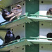 Martin Magee Photo 13