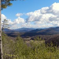 Janet Whitt Photo 10