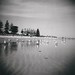Jack Henley Photo 26