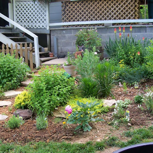 Sharon Quick Photo 21