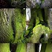 Mark Boles Photo 12