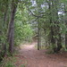 Sandy Hoeft Photo 8