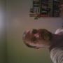 Roger Gregory Photo 15