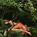 Lynda Gale Photo 8