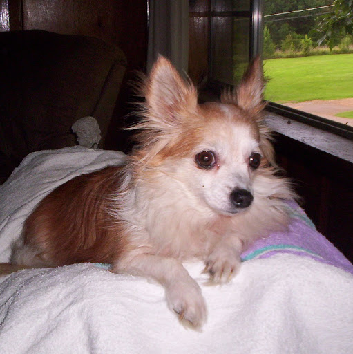 Patricia Hendricks Photo 26