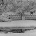 Elizabeth Stowe Photo 18