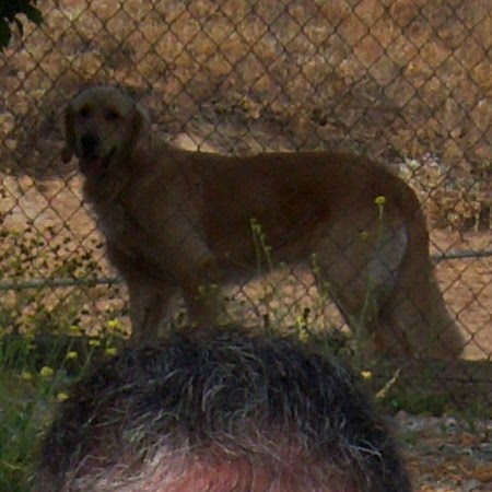 Chester Robinson Photo 7