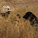 Daniel Eckert Photo 37