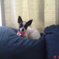 Mary Langston Photo 22