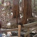 Carrie Peters Photo 25