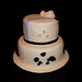 Amy Hasty Photo 25