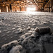 Michael Lint Photo 15