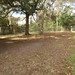 Theresa Back Photo 12