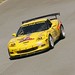 Terry Free Photo 20