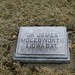 Arlene Shaw Photo 18