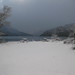 Julie Falkner Photo 10