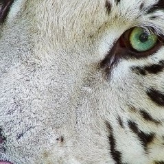 Brenda Eldridge Photo 4