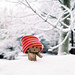 Debbie Hickey Photo 15