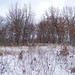 Jesse Winters Photo 41